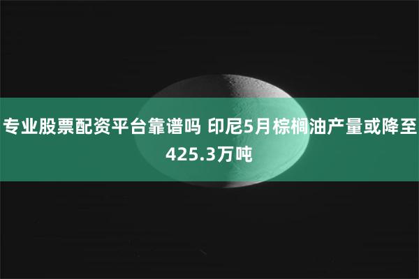 专业股票配资平台靠谱吗 印尼5月棕榈油产量或降至425.3万吨