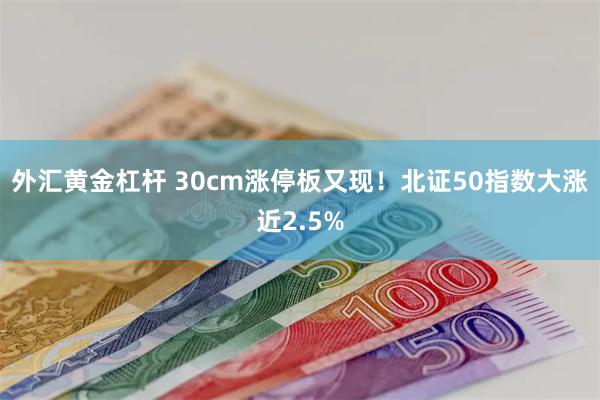 外汇黄金杠杆 30cm涨停板又现！北证50指数大涨近2.5%