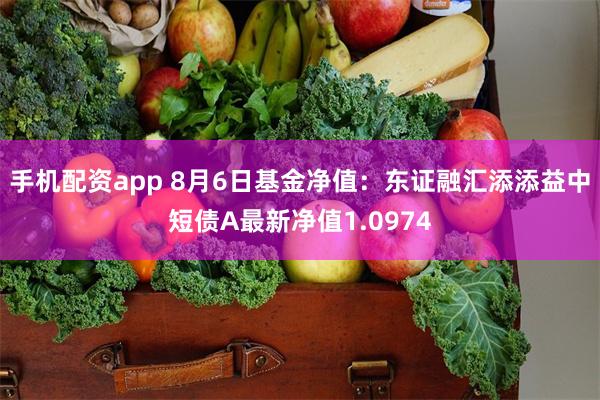 手机配资app 8月6日基金净值：东证融汇添添益中短债A最新净值1.0974