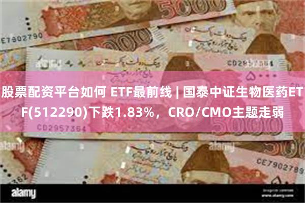 股票配资平台如何 ETF最前线 | 国泰中证生物医药ETF(512290)下跌1.83%，CRO/CMO主题走弱