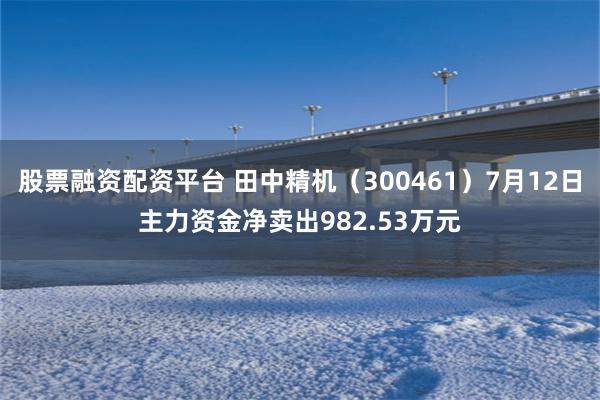 股票融资配资平台 田中精机（300461）7月12日主力资金净卖出982.53万元