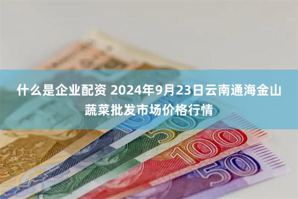 什么是企业配资 2024年9月23日云南通海金山蔬菜批发市场价格行情