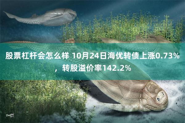 股票杠杆会怎么样 10月24日海优转债上涨0.73%，转股溢价率142.2%