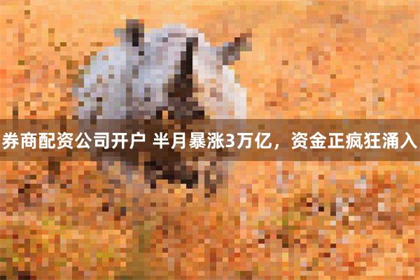 券商配资公司开户 半月暴涨3万亿，资金正疯狂涌入