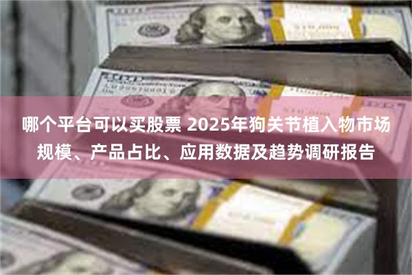 哪个平台可以买股票 2025年狗关节植入物市场规模、产品占比、应用数据及趋势调研报告