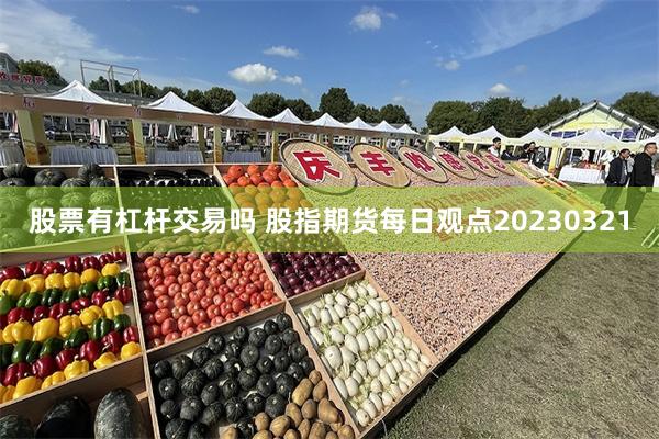 股票有杠杆交易吗 股指期货每日观点20230321