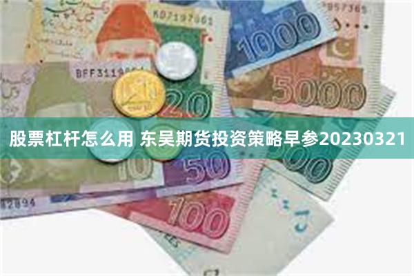 股票杠杆怎么用 东吴期货投资策略早参20230321